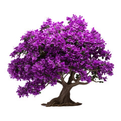 Obraz premium Purple Flower Shrubbery Isolated In white Background