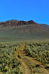 Dirt road in foreground disappears then reappears in on lower slope of mountain, Highway 95, ...