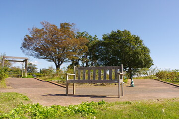 Fototapeta premium 公園に置かれた木製のベンチ