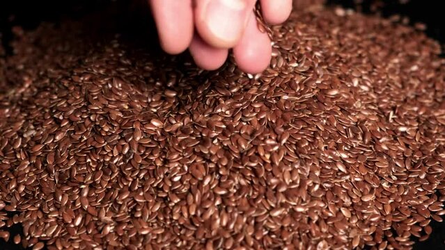 Flax seeds. The hand takes a pinch of seed