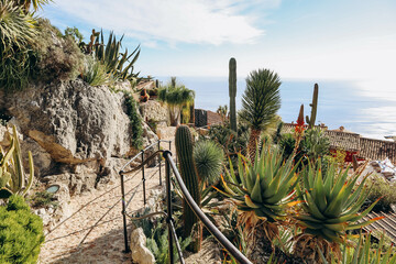 The Jardin botanique d'Eze, a botanical mountaintop garden located in Eze, on the French Riviera
