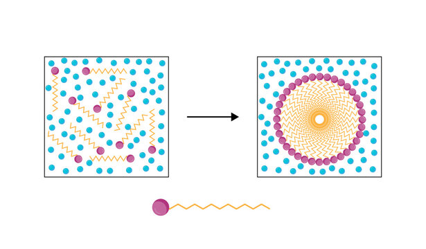 Micelle Structure, Soap Molecule, Micelle Formation. Vector illustration.	
