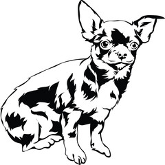 Cartoon Black and White Isolated Illustration Vector Of A Pet Chihuahua Puppy Dog Sitting Down