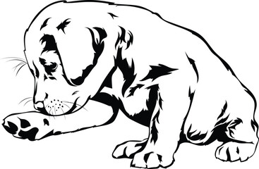 Cartoon Black and White Isolated Illustration Vector Of A Pet Labrador Retriever Puppy Dog Sitting Down