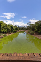 paisagem natural na cidade de Corumb&aacute;, regi&atilde;o do Pantanal Sul, Estado do Mato Grosso do Sul, Brasil