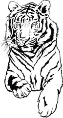 Cartoon Black and White Isolated Illustration Vector Of A Tiger Laying Down