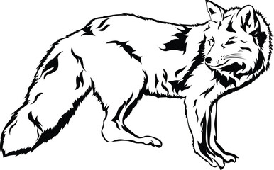 Cartoon Black and White Isolated Illustration Vector Of A Fox