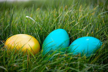Colorful easter eggs in the grass