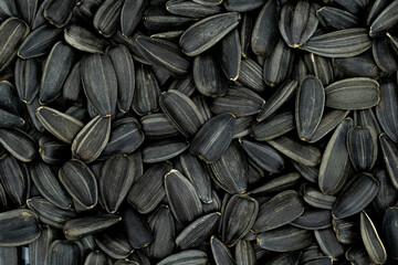 black sunflower seeds top view macro