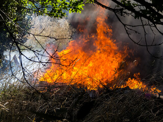 Burning of grasslands in countryside