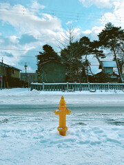A yellow fire hydrant in the snowy field
