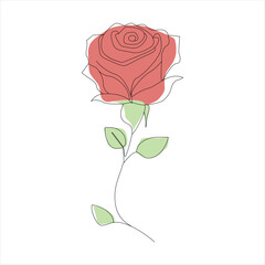 Rose one continuous line drawing. Floral flower natural design. Graphic, sketch drawing. rose
