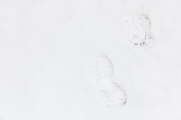 Footprints found in a snowy park.