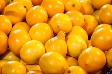 Fresh lemons for sale at the market. Yellow ripe lemons.
​
