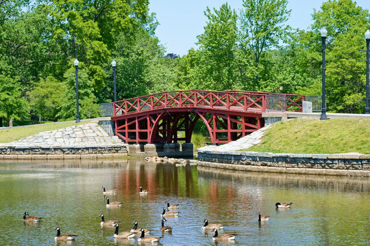 Red wooden bridge in Elm park Worcester MA USA