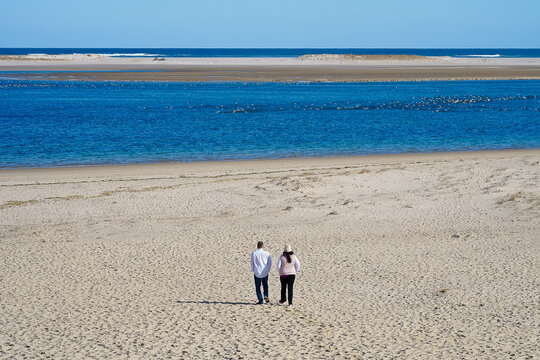 A couple walking on the beach