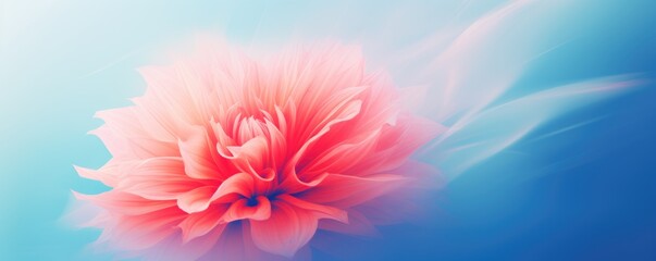 Abstract romantic beautiful background with flowers for Valentine's Day holiday. Horizontal banner web poster, header for website