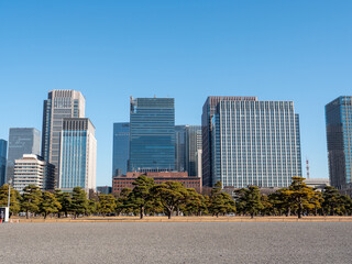 冬の皇居外苑　冬晴れの青空と東京丸の内のビル群