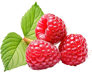 Raspberries isolated on transparent background. PNG
