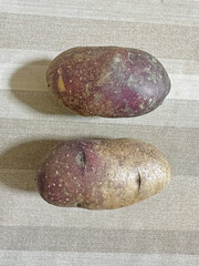 じゃがいもタワラマゼラン