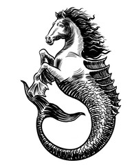 Mythological hippocampus animal. Hand-drawn black and white illustration - obrazy, fototapety, plakaty
