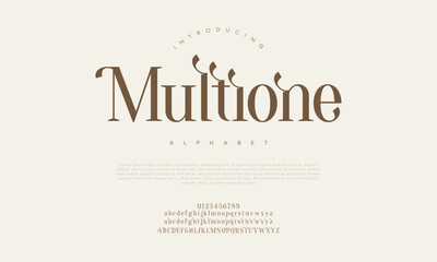 Multione premium luxury elegant alphabet letters and numbers. Elegant wedding typography classic serif font decorative vintage retro. Creative vector illustration