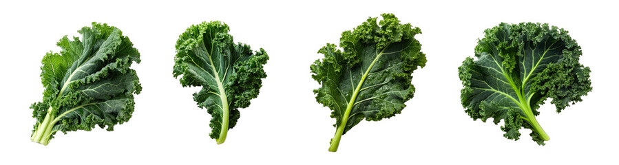 Collection of PNG. Kale isolated on a transparent background. - obrazy, fototapety, plakaty