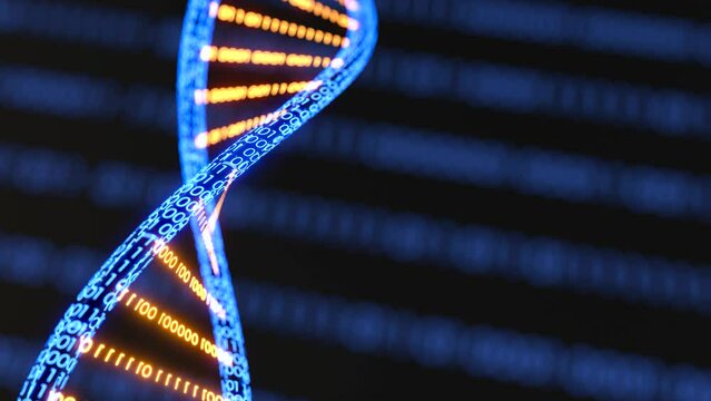 DNA 3D animation, Science and medicine concepts, Binary DNA molecule