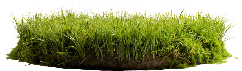 A small hill of green grass with a circular base isolated on transparent background. PNG  - obrazy, fototapety, plakaty