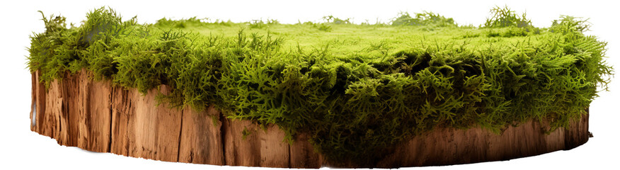 Isolated wooden circle cylinder shape plank podium with grass