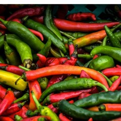 red and green peppers