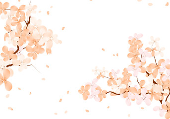 Peach Cherry Blossom Frame, Sakura Bloom Border. Spring Flowers Background.