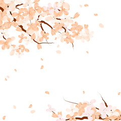 Sakura Blossom Branch Frame. Cherry Falling petals Bakground. Spring Floral Border.