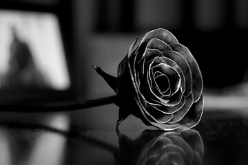 metal rose on a table with a black background, black and white photo