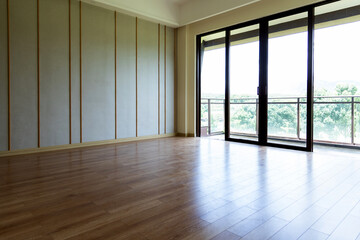 Empty living room in the house
