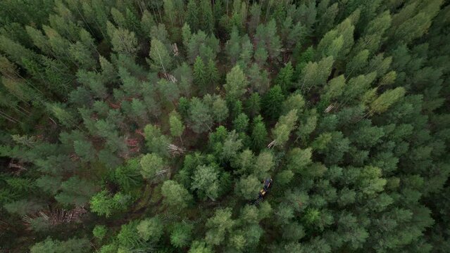 Aerial shot of Scandinavian finnish forest from above and forestry machine Ponsse Scorpion harvester, shot with DJI Air 2s