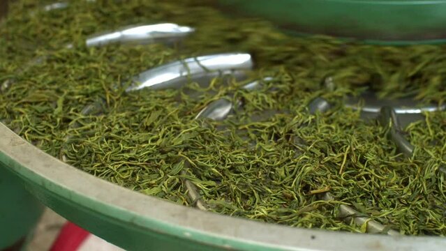 Tea making process in a factory. Working of rolling machine with fresh green tea leaves. Natural organic products