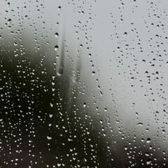 Raindrops on the window