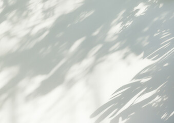 白い壁に落ちる影, ミニマルな自然光