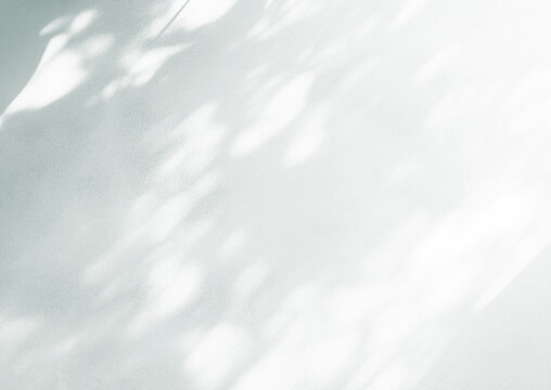 白い壁に落ちる影, ミニマルな自然光