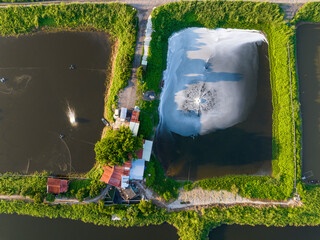 Tai Sang Wai Drought Fish Ponds
