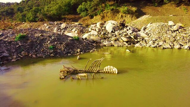 a skeleton carcase of a dead horse in a small lake at the top of the mountain