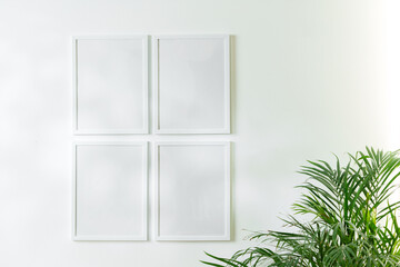 Blank white frames and houseplant against white wall