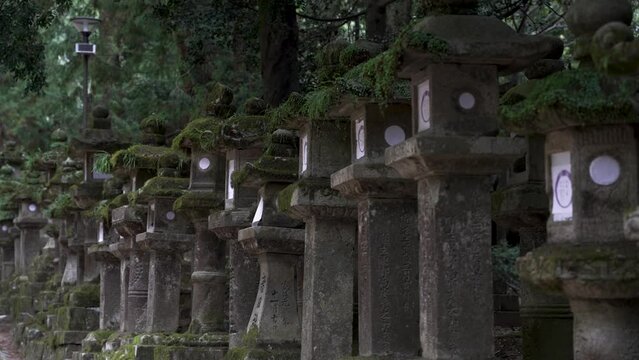 Row Of Moss Covered Stone lanterns of Kasugataisha shrine (Kasuga-taisha) In Nara public park