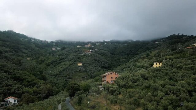 The hills of Moneglia, Italy get enough moisture from the sea to support a verdant tree canopy