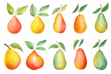 Obraz premium Watercolor painting Mango fruit symbols On a white background.