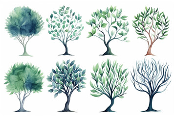 Watercolor painting Banyan tree symbols on a white background.