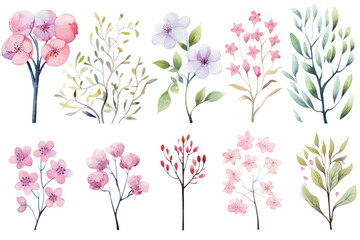 Watercolor painting Flowering trees symbols on a white background. 