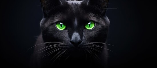 A black cat with green eyes staring at the camera from a close distance.