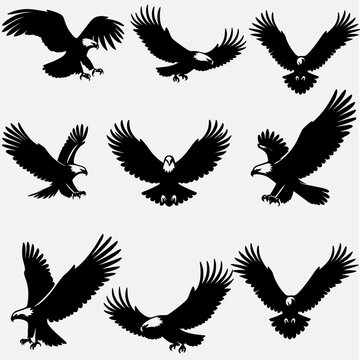 set of eagle silhouettes , set of birds silhouette . 